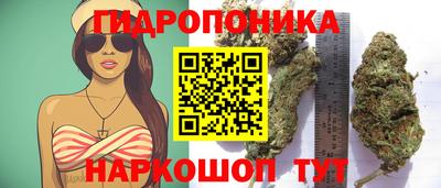 PSILOCYBIN Будённовск