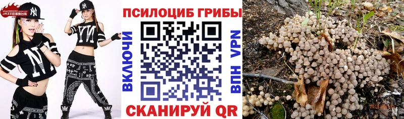 Галлюциногенные грибы Psilocybe  купить закладку  Ивантеевка 