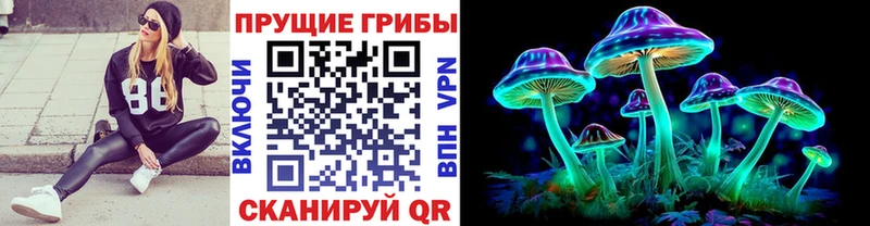Псилоцибиновые грибы Magic Shrooms Ивантеевка