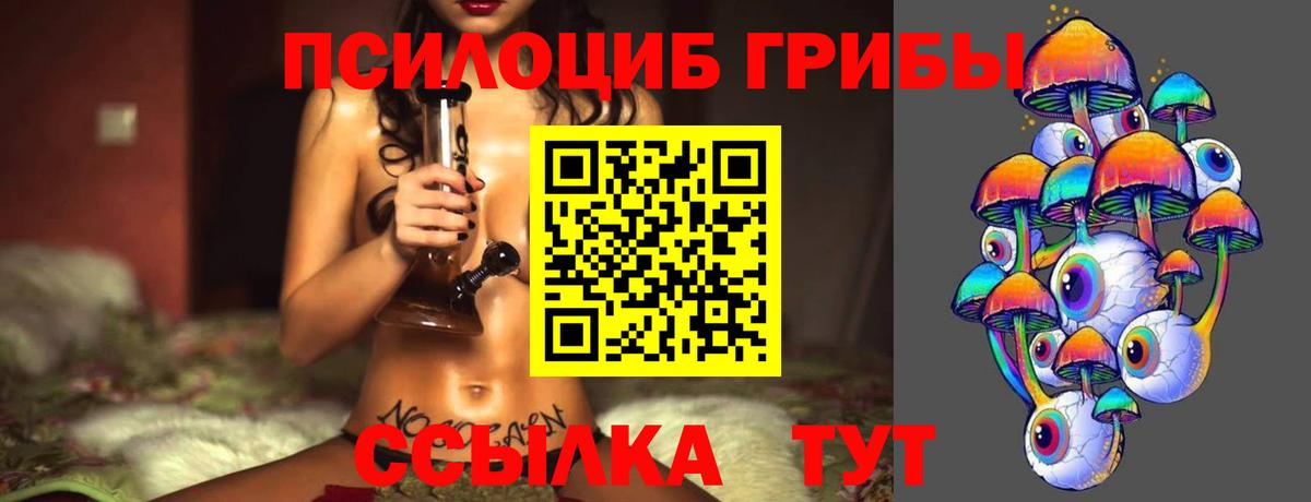 купить наркоту  Ивантеевка  Галлюциногенные грибы MAGIC MUSHROOMS  Псилоцибиновые грибы прущие грибы 