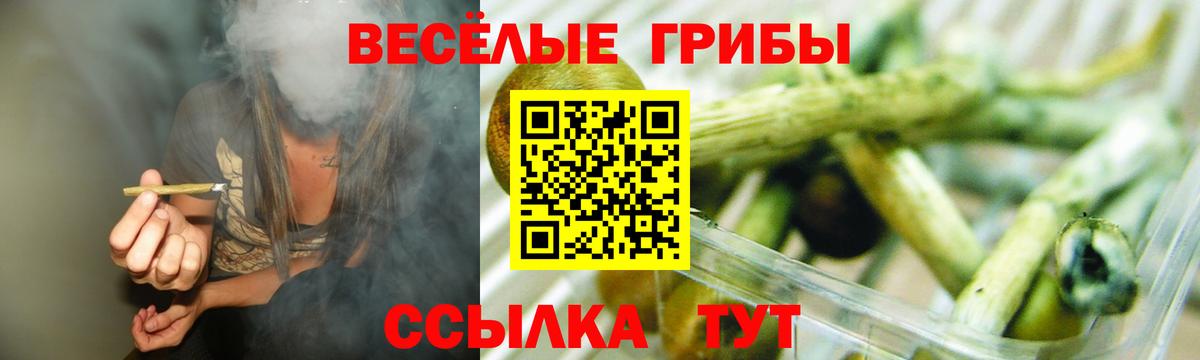 Галлюциногенные грибы MAGIC MUSHROOMS  Галлюциногенные грибы GOLDEN TEACHER  Вход с VPN  Ивантеевка 
