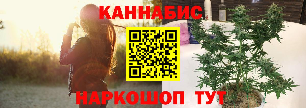 Ивантеевка  Бошки марихуана LSD WEED  Вход с VPN  Бошки Шишки OG Kush  Каннабис сатива  Бошки Шишки White Widow 